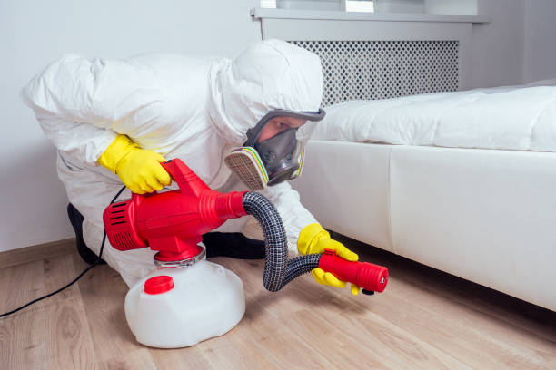 Best Termite Control Services  in Canfield, OH