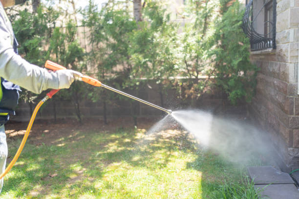 Best Wasp Removal Services  in Canfield, OH